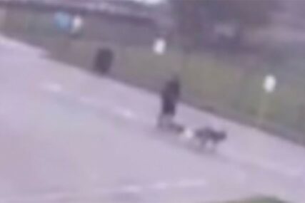 ODMAH PAO NA TLO Muškarac šetao pse kada ga je pogodio grom, kamera snimila JEZIV TRENUTAK (VIDEO)