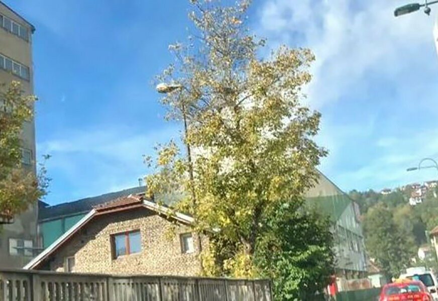 Foto: Klix/RAS Srbija