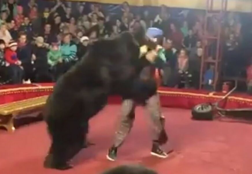 ZASTRAŠUJUĆI PRIZOR Medvjed napao dresera, publika pomahnitalo traži izlaz iz cirkusa (VIDEO)