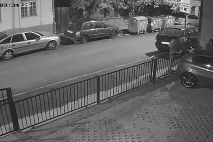 LOPOVI HARAJU Djelovalo je kao da žele da ukradu automobil, ali su uradili OVO i nestali (VIDEO)