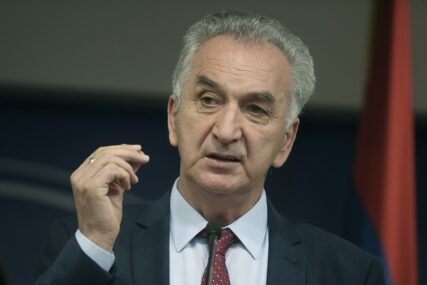„REAKCIJA SNSD DOKAZ DA SMO U PRAVU“ Šarović tvrdi da su namjere SDS i PDP čiste i poštene