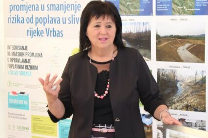 Golić: Novi Savjet ministara da se uključi u rješavanje problema Trgovske gore