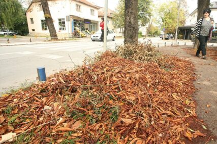Njegujte svoj vrt na pravi način: Evo zašto ove godine nikako ne biste smjeli da UKLONITE LIŠĆE s travnjaka