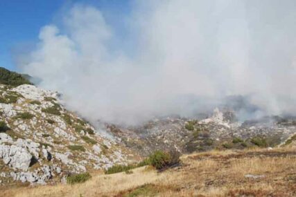 “TEREN JE MINIRAN” Buktinja zahvatila šumu, vatrogasci traže pomoć helikoptera OSBiH
