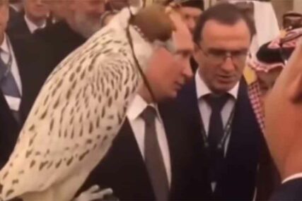 NESPRETNI GEST SOKOLA Putinov poklon saudijskom kralju se UNEREDIO tokom primopredaje (VIDEO)