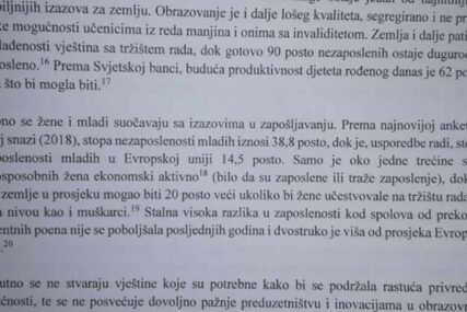 ČAK 38,8 ODSTO MLADIH NEMA POSAO Ključni dokument Vlade FBiH otkrio problem