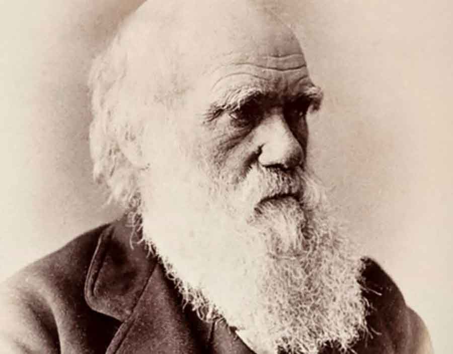 NE SLAŽE SE S OCEM TEORIJE EVOLUCIJE Bogataš finansira POBIJANJE teorije Čarlsa Darvina