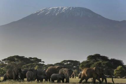 ČUDO IZ BRITANIJE Ima šest godina, DVA PUTA osvojila Kilimandžaro, a san joj je Mont Everest (FOTO)