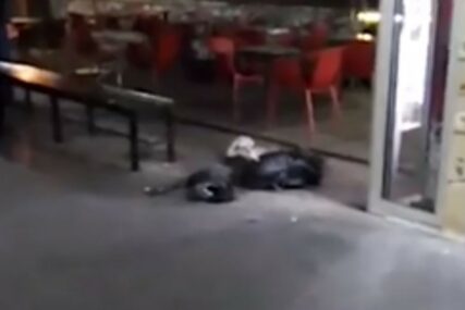 IZBODEN MIGRANT U SARAJEVU Uspio preći ulicu pa pao kod perona autobuske stanice (VIDEO)