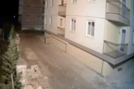 ŽIVOTINJE IMAJU ŠESTO ČULO Pas predosjetio zemljotres pa pobjegao od zgrade (VIDEO)