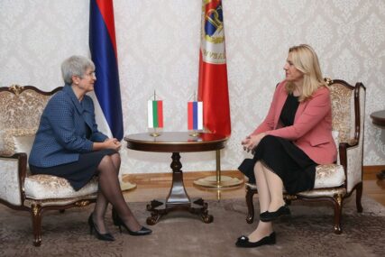 Cvijanović: Samo kandidatski status može održati aktivnim EU INTEGRACIJE