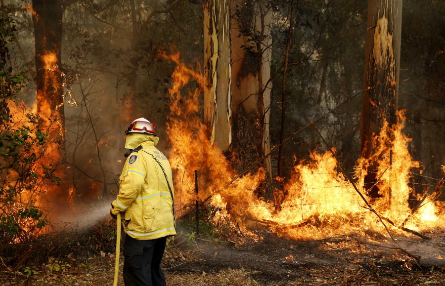 PANIKA U AUSTRALIJI Naređena hitna evakuacija nekoliko oblasti zbog požara
