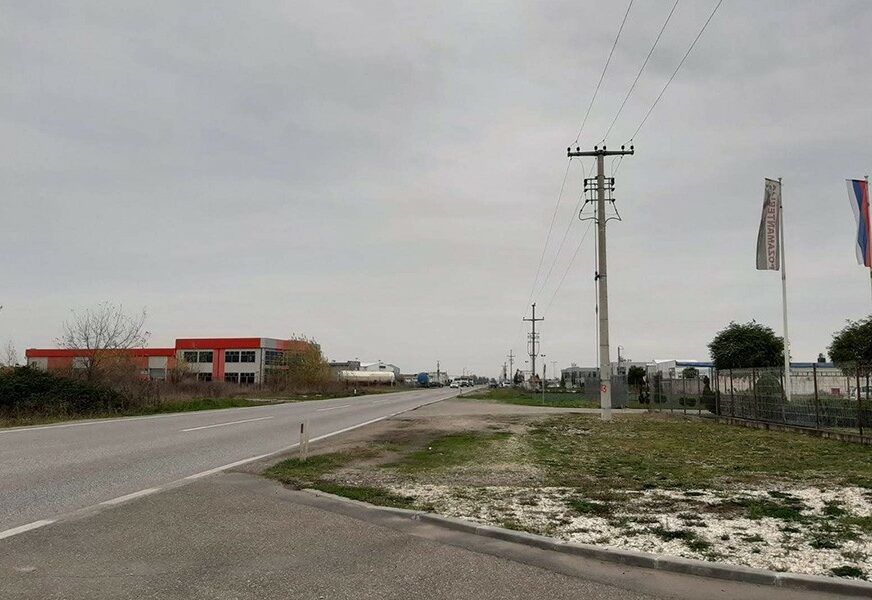 Foto: S. R. Mrkonjić/RAS Srbija