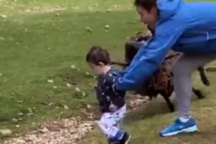 DRAMATIČAN SNIMAK Majka u posljednjem trenutku spasla dijete od razjarenog ovna (VIDEO)