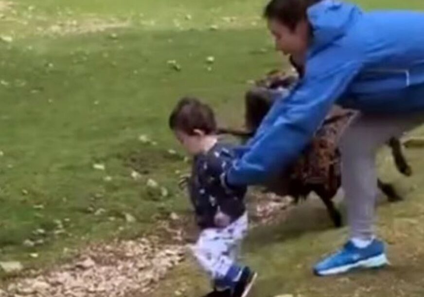 DRAMATIČAN SNIMAK Majka u posljednjem trenutku spasla dijete od razjarenog ovna (VIDEO)