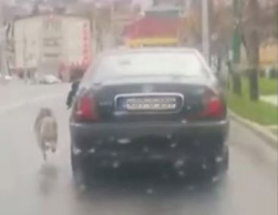 "NEĆU DA SE PRAVDAM" Psa vezanog za vozilo vukao po putu, pa POKUŠAO DA OBJASNI ZAŠTO  