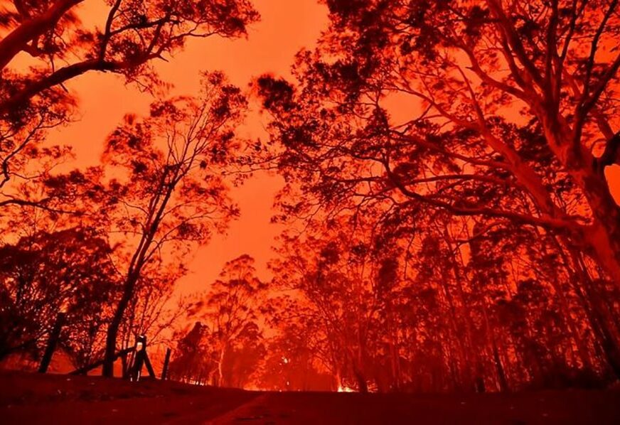 NAUČNICI UPOZORAVAJU Ako se Zemlja zagrije za samo tri stepena, veliki požari postaće UOBIČAJENI