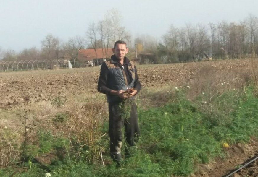 Treća generacije Hadžića iz Janje u poljoprivredi: Povrće ekstra kvaliteta, ali nemaju ga kome prodati