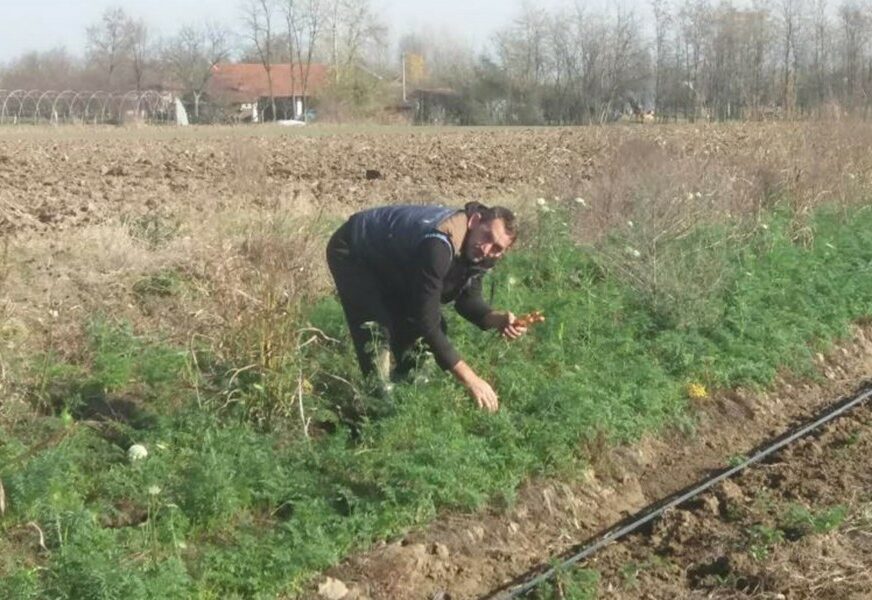 Foto: S. R. Mrkonjić/RAS Srbija