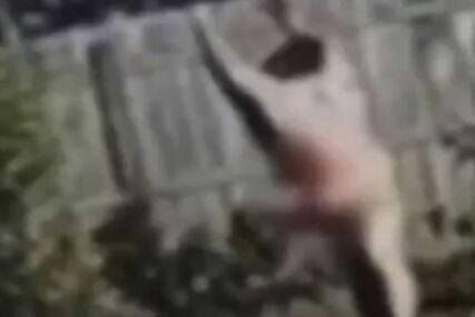 BILO JE I KRVI Go trčao ulicama nakon što ga je napao bivši dečko njegove djevojke (VIDEO)