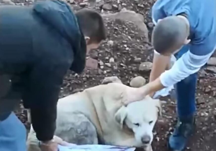 SREDNJOŠKOLCI HEROJI Izvukli psa iz hladne rijeke, uvili ga u mantil i odnijeli na sigurno (VIDEO)