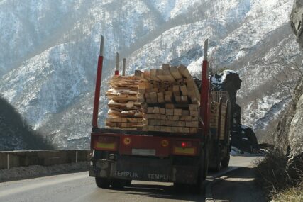 POSLJEDICE PANDEMIJE Rast drvne industrije Srpske POKLEKAO zbog korone