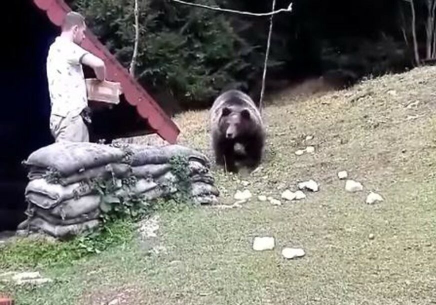 NANJUŠIO DOBRU KLOPU Medvjed redovno dolazi na ručak do restorana na Igmanu (VIDEO)