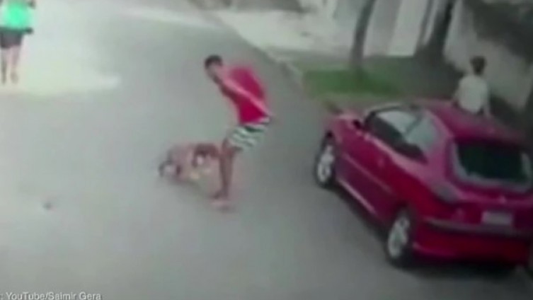 DRAMATIČAN SNIMAK Pitbul napao dijete na ulici, tragediju spriječio TATA HEROJ (VIDEO) 