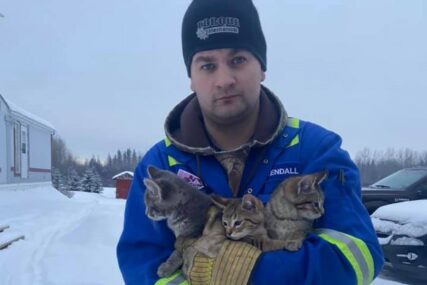 NISKE TEMPERATURE PRIJETE SMRZAVANJEM Kanađanin na dosjetljiv način spasio tri mačića (VIDEO)