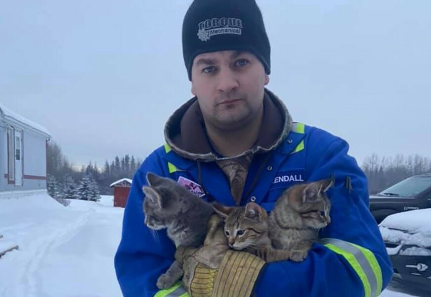 NISKE TEMPERATURE PRIJETE SMRZAVANJEM Kanađanin na dosjetljiv način spasio tri mačića (VIDEO)