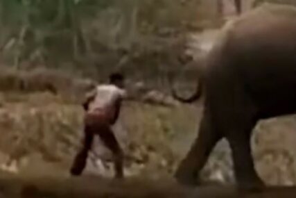 VIŠE MU NEĆE PASTI NA PAMET Udario je slona štapom kako bi ga otjerao i ubrzo ZAŽALIO (VIDEO)