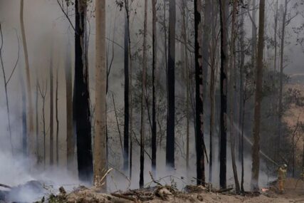 STIGLO OSVJEŽENJE Australijance nakon mjeseci požara koji su bjesnili zemljom OBRADOVALA KIŠA