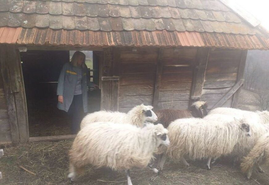 Foto: Slađana R. Mrkonjić/RAS Srbija