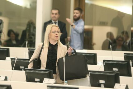 Novaković Bursać: Izborni zakon nije uzrok krize u BiH već neprihvatanje realnosti