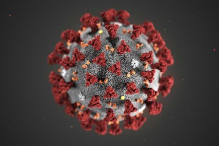 OPREZ I STRAH Ministarstvo zdravlja ZDK imenovalo Krizni štab za praćenje koronavirusa