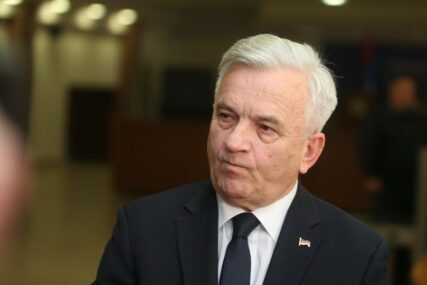 Čubrilović nakon imenovanja novog visokog predstavnika “Bilo bi bolje da međunarodna zajednica učini domaće političare odgovornijim”