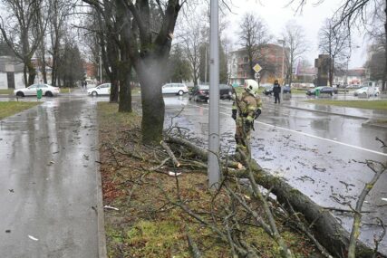 JAKO NEVRIJEME U PRIJEDORU Vjetar srušio stablo u centru grada