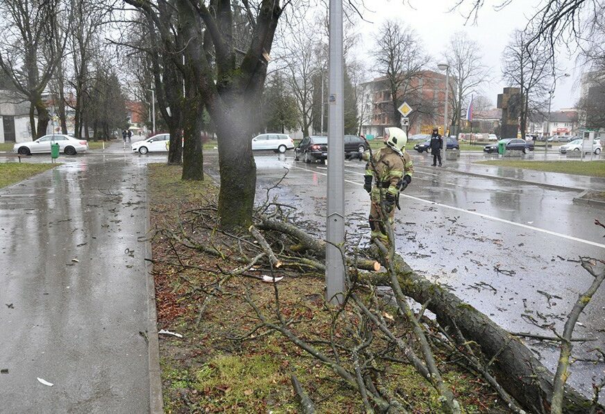 JAKO NEVRIJEME U PRIJEDORU Vjetar srušio stablo u centru grada