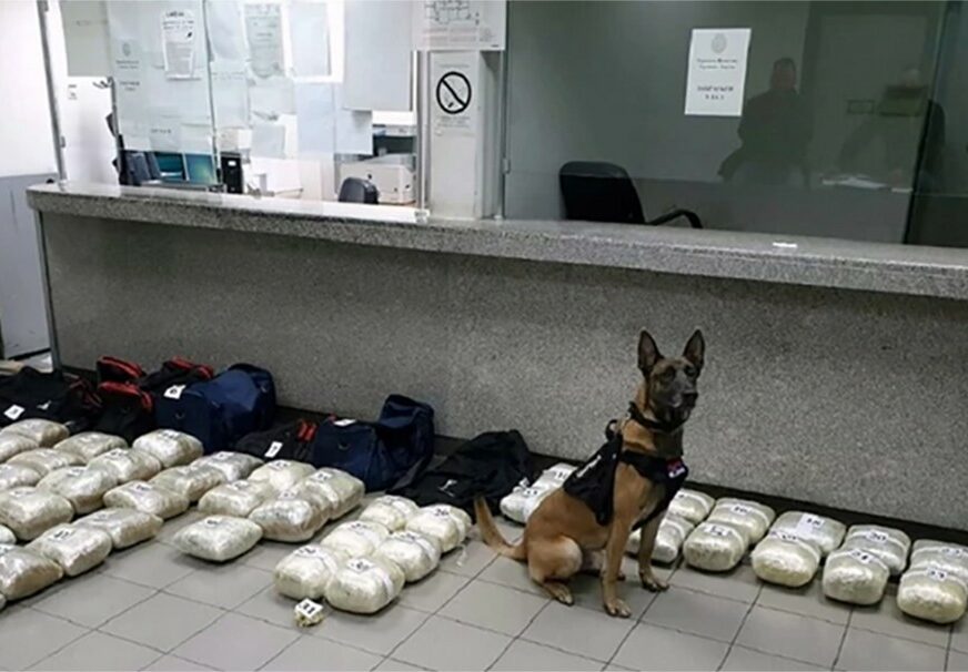 VELIKA ZAPLJENA Policijski pas nanjušio kokain vrijedan više od DVA MILIONA EVRA