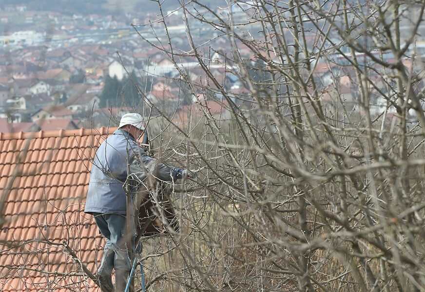 FOTO: SINIŠA PAŠALIĆ/RAS SRBIJA