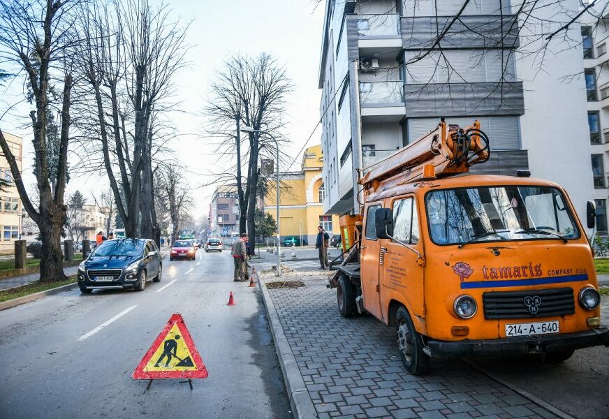 ZAMJENA OBOLJELIH STABALA Nove sadnice u centru grada