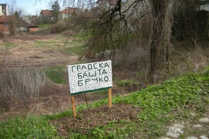 I BRČKO DOBILO GRADSKU BAŠTU Poslije Banjaluke projekat zaživio u Distriktu