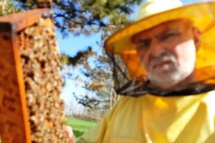 U PČELINJAKU SE NAJBEZBJEDNIJE OSJEĆA Narodni poslanik koristi masku za pčele i korona virus