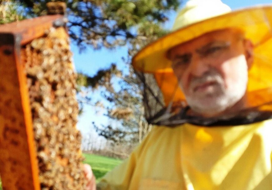 U PČELINJAKU SE NAJBEZBJEDNIJE OSJEĆA Narodni poslanik koristi masku za pčele i korona virus