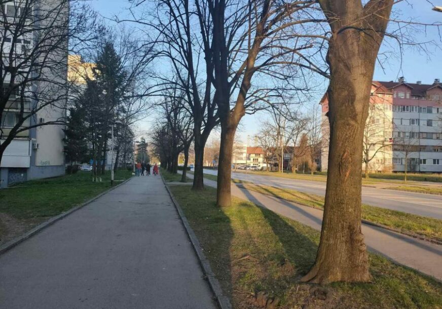 POMOĆ U ŠEST OPŠTINA I GRADOVA Volonteri Crvenog krsta dostavljaju 320 obroka starima