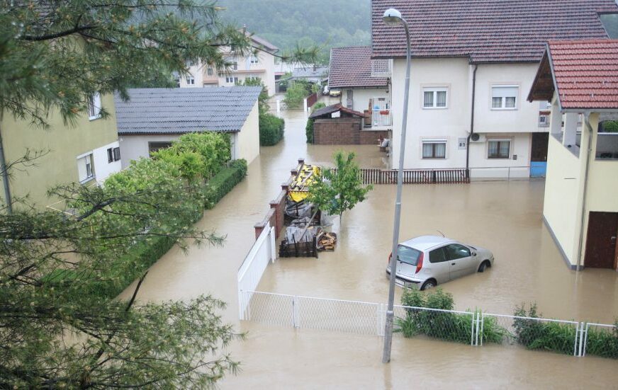 Foto: Siniša Pašalić/ RAS Srbija
