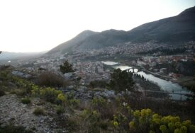 Dašak Jadrana u Hercegovini: U Trebinju će se obilježiti "Praznik mimoze"
