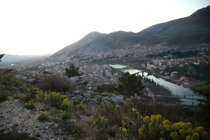 Dašak Jadrana u Hercegovini: U Trebinju će se obilježiti "Praznik mimoze"