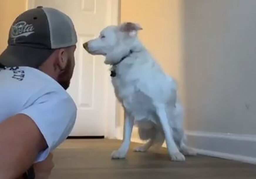 LJUBAV KOJA NE POZNAJE GRANICE Priča o prijateljstvu čovjeka i slijepog i gluvog psa (VIDEO)