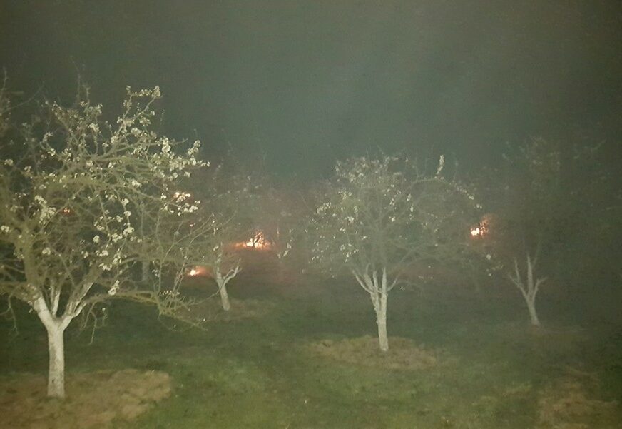 ZA SPAS PLODOVA Podmajevički voćari dimom štitili voćnjake od mraza